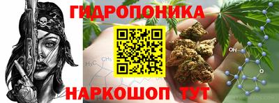 спиды Коммунар