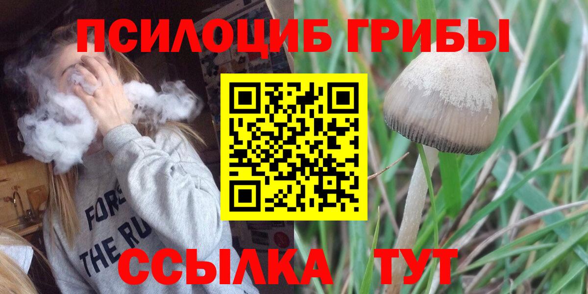 Галлюциногенные грибы Cubensis Кемерово