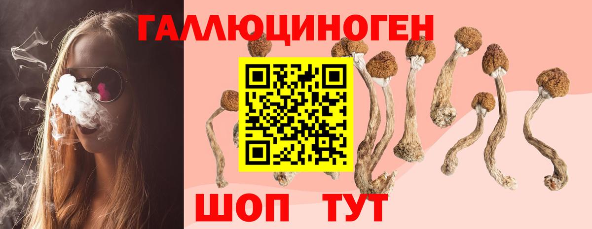 Псилоцибиновые грибы Cubensis  Вход с VPN  Псилоцибиновые грибы Psilocybine cubensis  Кемерово 